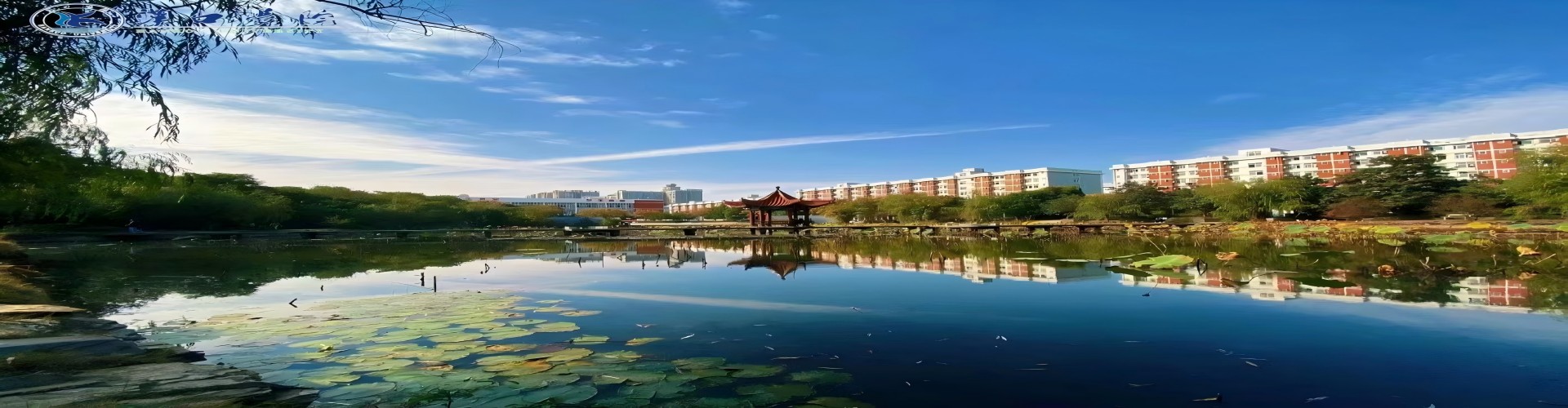 威廉希尔williamhill官网